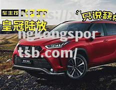 星空体育-体操冠军稳坐金银榜首，傲视群雄
