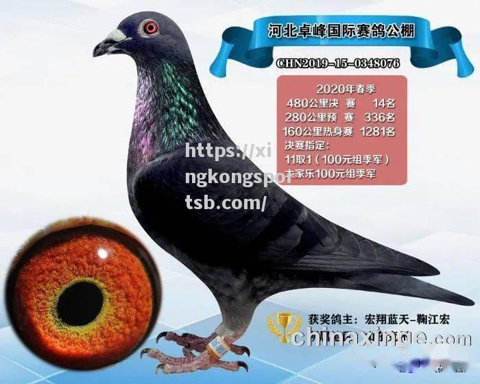 爱沙尼亚选手荣膺比赛冠军,成为黑马 爱沙尼亚选手荣膺比赛冠军,成为黑马