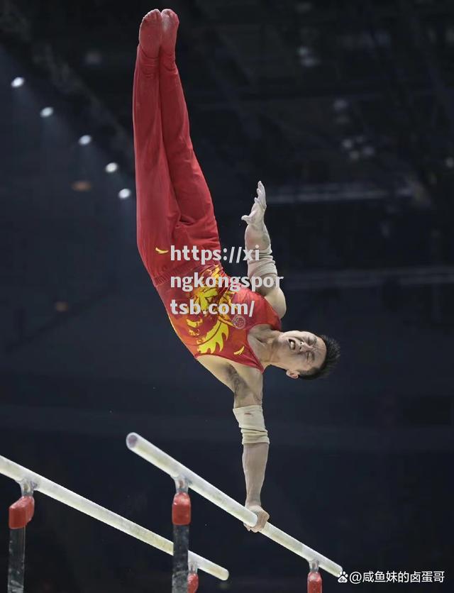 选手表现优异,毫无悬念夺冠 选手表现优异,毫无悬念夺冠